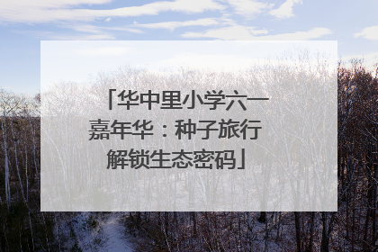 华中里小学六一嘉年华：种子旅行解锁生态密码