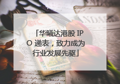 华曦达港股 IPO 递表，致力成为行业发展先驱