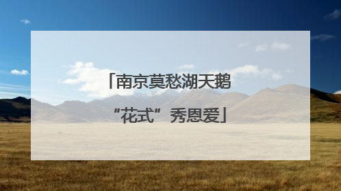 南京莫愁湖天鹅“花式”秀恩爱