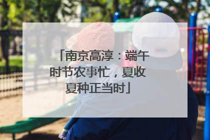南京高淳：端午时节农事忙，夏收夏种正当时