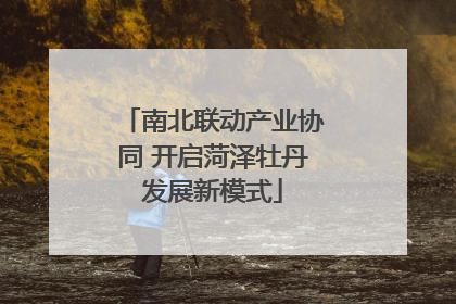 南北联动产业协同 开启菏泽牡丹发展新模式