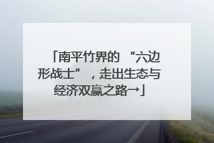 南平竹界的 “六边形战士”，走出生态与经济双赢之路→