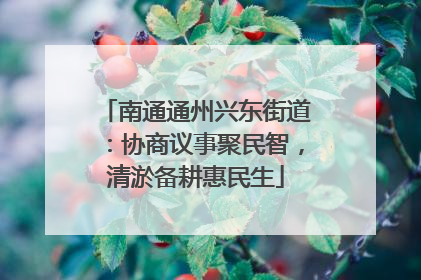南通通州兴东街道：协商议事聚民智，清淤备耕惠民生