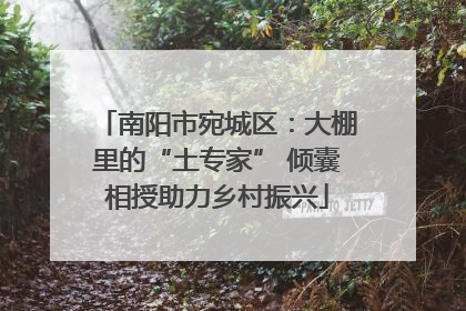 南阳市宛城区：大棚里的“土专家” 倾囊相授助力乡村振兴