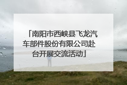 南阳市西峡县飞龙汽车部件股份有限公司赴台开展交流活动