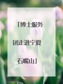 博士服务团走进宁夏石嘴山