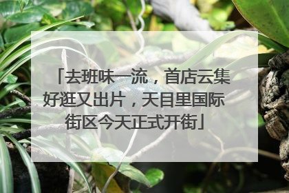 去班味一流，首店云集好逛又出片，天目里国际街区今天正式开街