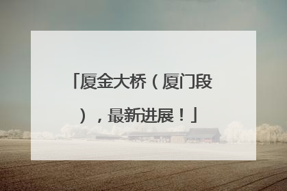 厦金大桥（厦门段），最新进展！