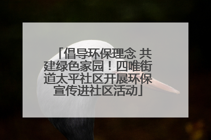 倡导环保理念 共建绿色家园！四唯街道太平社区开展环保宣传进社区活动
