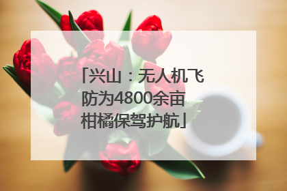 兴山：无人机飞防为4800余亩柑橘保驾护航