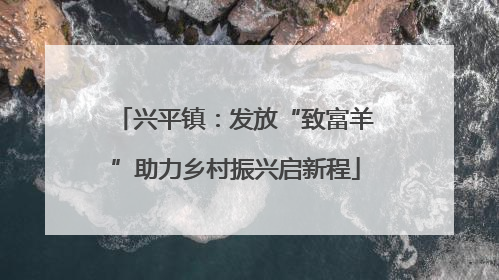 兴平镇：发放“致富羊”助力乡村振兴启新程