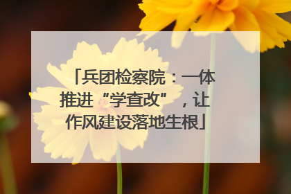 兵团检察院：一体推进“学查改”，让作风建设落地生根