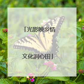 光影映乡情 文化润心田