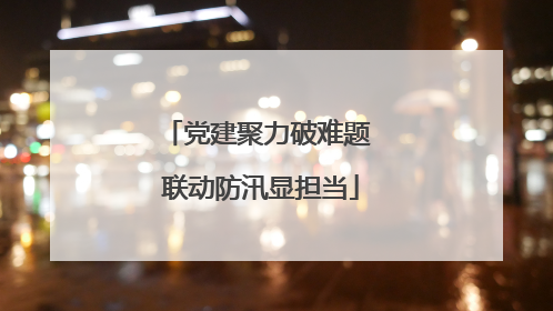 党建聚力破难题 联动防汛显担当