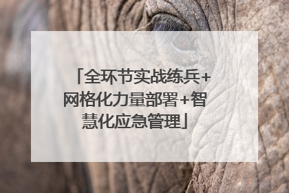 全环节实战练兵+网格化力量部署+智慧化应急管理