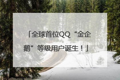 全球首位QQ“金企鹅”等级用户诞生！