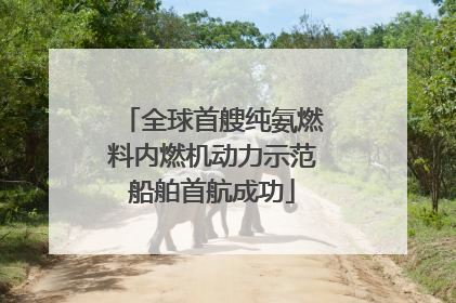 全球首艘纯氨燃料内燃机动力示范船舶首航成功