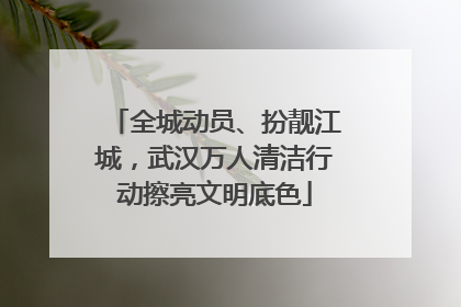 全城动员、扮靓江城，武汉万人清洁行动擦亮文明底色