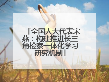 全国人大代表宋燕：构建推进长三角检察一体化学习研究机制