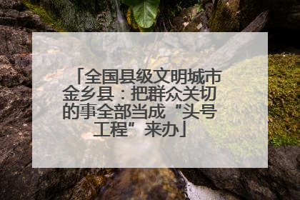 全国县级文明城市金乡县：把群众关切的事全部当成“头号工程”来办