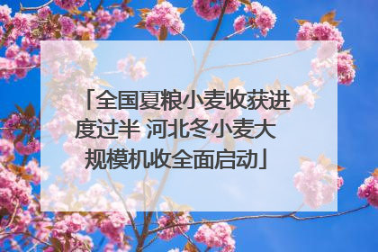 全国夏粮小麦收获进度过半 河北冬小麦大规模机收全面启动