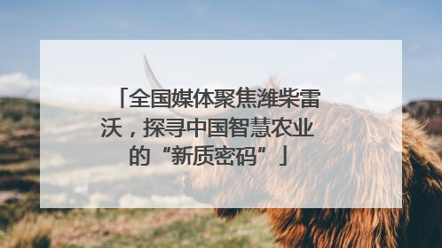 全国媒体聚焦潍柴雷沃，探寻中国智慧农业的“新质密码”