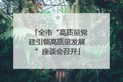 全市“高质量党建引领高质量发展”座谈会召开