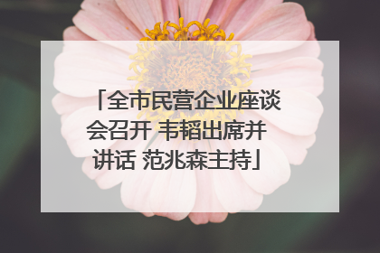 全市民营企业座谈会召开 韦韬出席并讲话 范兆森主持