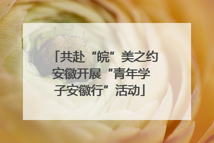 共赴“皖”美之约 安徽开展“青年学子安徽行”活动