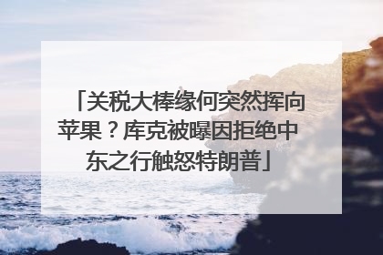 关税大棒缘何突然挥向苹果？库克被曝因拒绝中东之行触怒特朗普