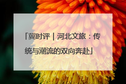 冀时评｜河北文旅：传统与潮流的双向奔赴