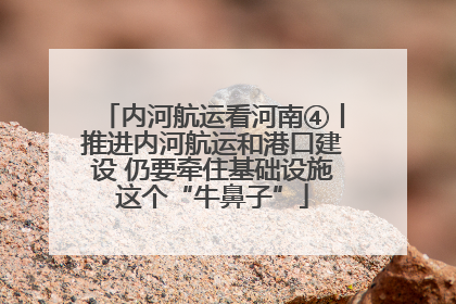 内河航运看河南④丨推进内河航运和港口建设 仍要牵住基础设施这个“牛鼻子”