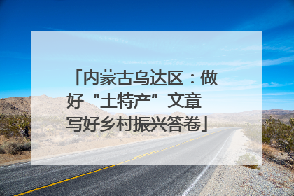 内蒙古乌达区：做好“土特产”文章 写好乡村振兴答卷