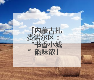 内蒙古扎赉诺尔区：“书香小城”韵味浓