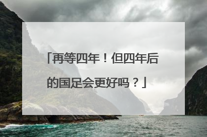 再等四年！但四年后的国足会更好吗？