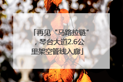 再见“马路拉链”，琴台大道2.6公里架空管线入廊