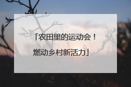 农田里的运动会！燃动乡村新活力