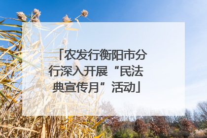 农发行衡阳市分行深入开展“民法典宣传月”活动
