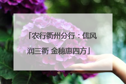 农行衢州分行：儒风润三衢 金穗惠四方