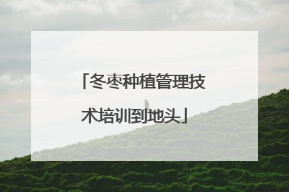 冬枣种植管理技术培训到地头