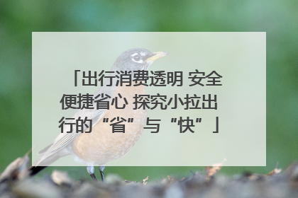 出行消费透明 安全便捷省心 探究小拉出行的“省”与“快”
