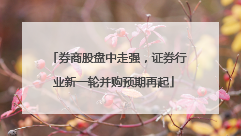 券商股盘中走强，证券行业新一轮并购预期再起