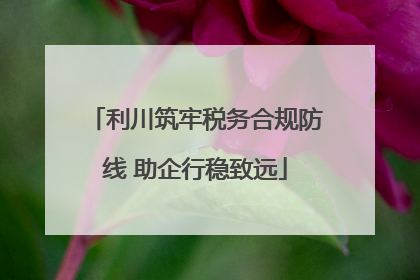 利川筑牢税务合规防线 助企行稳致远