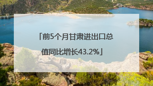 前5个月甘肃进出口总值同比增长43.2%