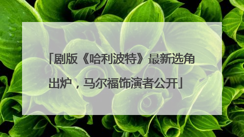 剧版《哈利波特》最新选角出炉，马尔福饰演者公开