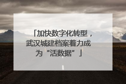 加快数字化转型，武汉城建档案着力成为“活数据”