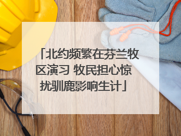 北约频繁在芬兰牧区演习 牧民担心惊扰驯鹿影响生计