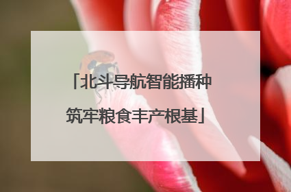 北斗导航智能播种 筑牢粮食丰产根基