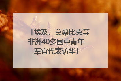 埃及、莫桑比克等非洲40多国中青年军官代表访华