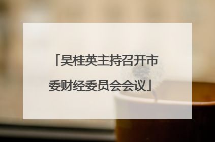 吴桂英主持召开市委财经委员会会议